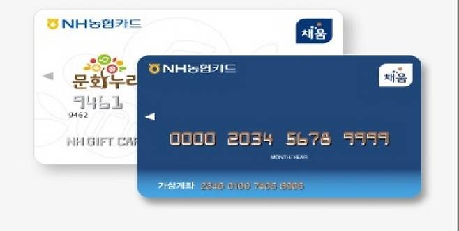 문화누리카드 이미지 사진 (문화누리카드 누리집)