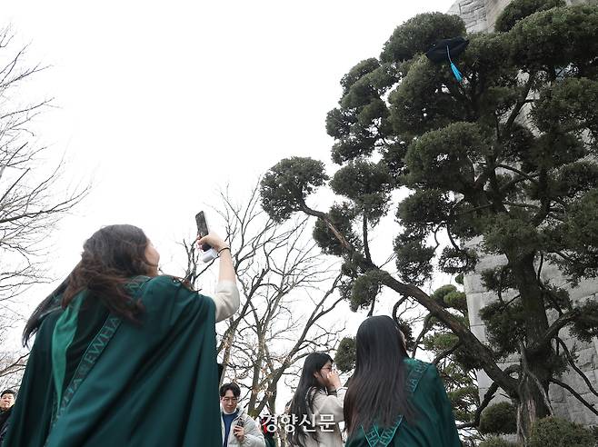 학사모를 던지다 나무에 걸린 학생들이 학사모를 바라보고 있다.