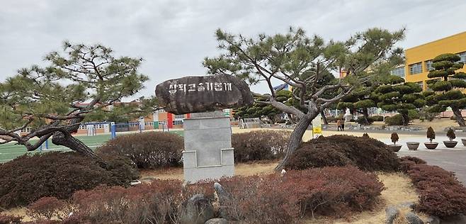 ▲ 영천초등학교 전경