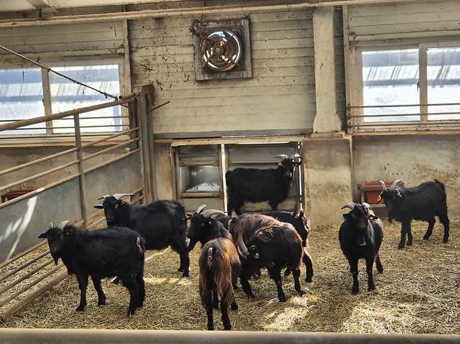 (사진제공=농림축산식품부)