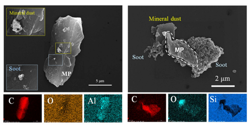▲도시 공기 중에서 검출되는 미세플라스틱의 전자현미경 사진. (자료=T. Hu 등. Science Advances, 2026)