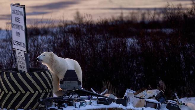 2026 세계 자연 사진 어워즈