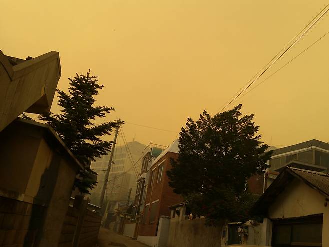 지난 2017년 산불 발생 지역 인근 강원도 강릉시 한 주택가에서 바라본 하늘.[X(구 트위터) 갈무리]