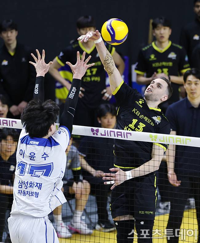 비예나 / 사진=권광일 기자