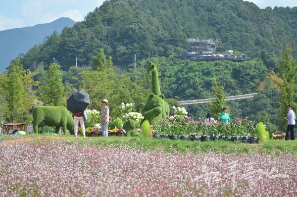 한탄강 가든 페스타.(사진=포천시)