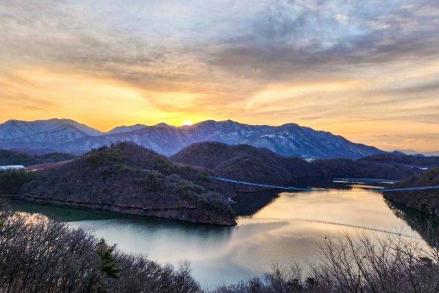 현대모비스는 미르숲과 미호강 일대에서 생물다양성 환경 조성 활동을 진행하고 있다. 미르숲. /현대모비스