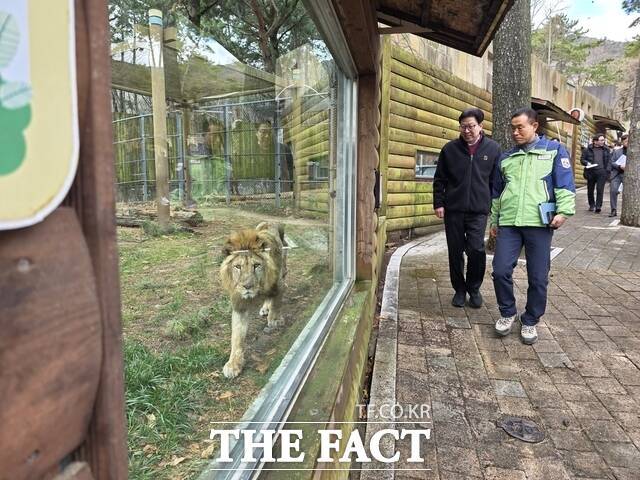 25일 오전 박형준 부산시장이 삼정더파크 동물들의 상태를 확인하고 있다. /박호경 기자