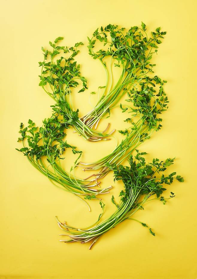 미나리 이미지 / 사진=롯데마트 제공