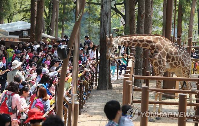 2014년 부산 초읍동 어린이대공원 '삼정더파크' 동물원 개장 모습 [연합뉴스 자료사진]