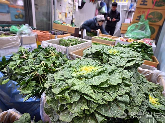 최근 젊은층 사이에서 SNS 등을 통해 봄동비빔밥이 인기를 끌며 건강과 유행을 함께 챙기는 제철 채소에 대한 관심이 높아지는 가운데 26일 오전 수원시 권선구 농수산물도매시장 채소동에 다양한 제철 봄 채소들이 진열돼 있다. 김경민기자