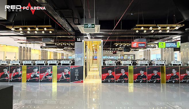 레드포스 PC 아레나