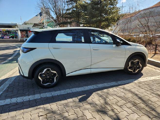 BYD 돌핀 (사진=이데일리 이배운 기자)