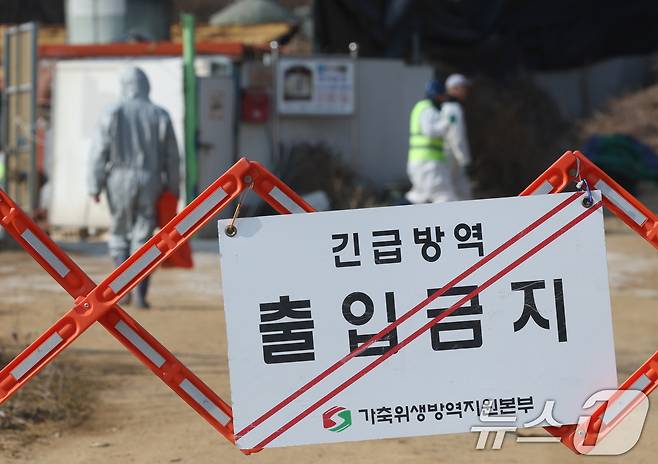 20일 경기 평택시의 한 양돈농장에서 고병원성 아프리카돼지열병(ASF) 발생해 방역당국이 통제 및 방역 작업을 하고 있다. 2026.2.20 ⓒ 뉴스1 김영운 기자