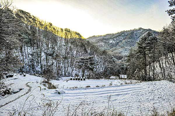 우리 땅은 조금밖에 안 되는데 앞산, 뒷산, 멀리 보이는 큰 산까지 내 것처럼 안고 산다. 그러다가 도시의 아파트 한 칸 값을 생각해 보면 도대체 누가 부자인지 모르겠다.
