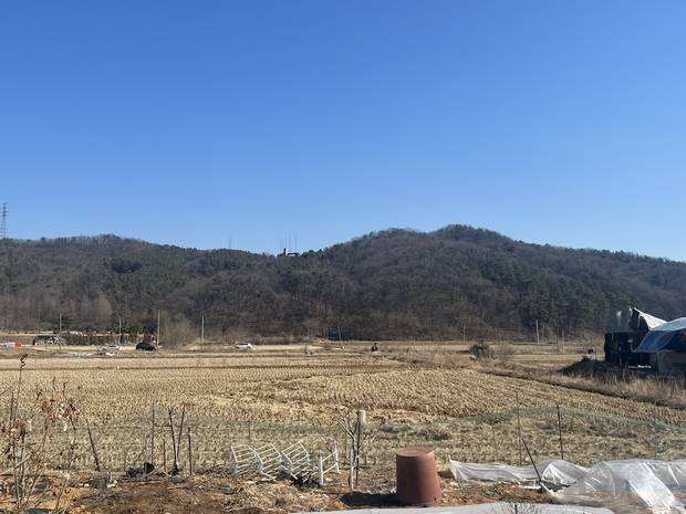 25일 용인시 처인구 남사읍의 한 농지. 양지혜 기자