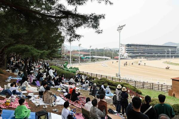 경기 과천 서울경마공원 방문객들이 경마를 관람하고 있다. [사진=한국마사회]