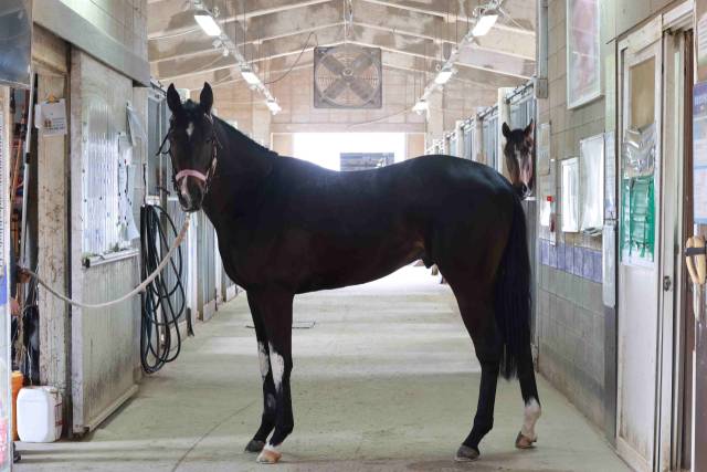 청춘은 자유./한국마사회/