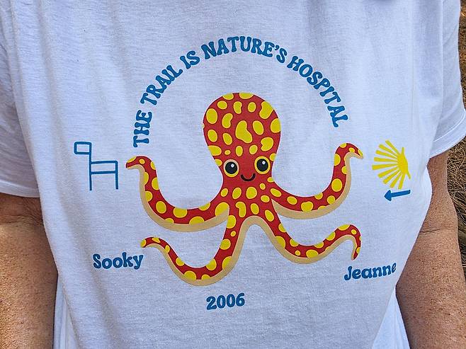 잔느 캐서린 헤니가 손수 제작한 티셔츠. 티셔츠에 서명숙 제주올레 이사장과의 인연을 새겼다. 두 사람의 이름, 산티아고 순례길과 제주올레 표식, 두 사람이 대화했던 식당의 대표 메뉴 문어 등을 넣었다. 권혁재 사진전문기자