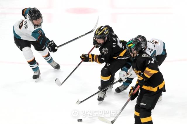 ▲ 강원 선발 이로담이 27일 강릉하키센터에서 열린 제107회 전국동계체육대회 아이스하키 12세이하부 준결승에서 돌파를 시도하고 있다. 한규빈 기자