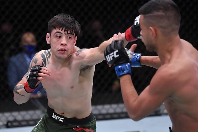 브랜든 모레노(왼쪽)가 지난 2020년 11월 UFC 255에서 브랜든 로이발과 공방을 벌이고 있다. [UFC 제공]