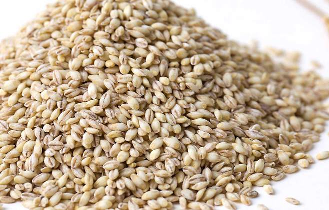 잡곡밥은 흰 쌀밥보다 혈당 조절과 노화 예방에 도움이 된다. /클립아트코리아