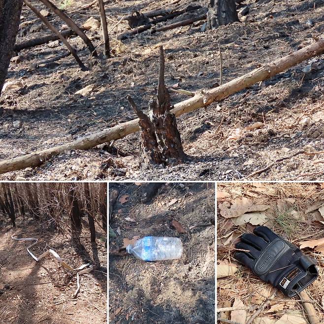 지난 2월 7일 발생한 경북 경주시 문무대왕면 입천리 산불 현장을 진화 10여 일 만에 찾았다. 산불이 낸 열에 절단된 소방호스와 진화대원이 남기고 간 구조 전문용 장갑 등이 당시의 긴박함을 보여주고 있었다. 김홍준 기자