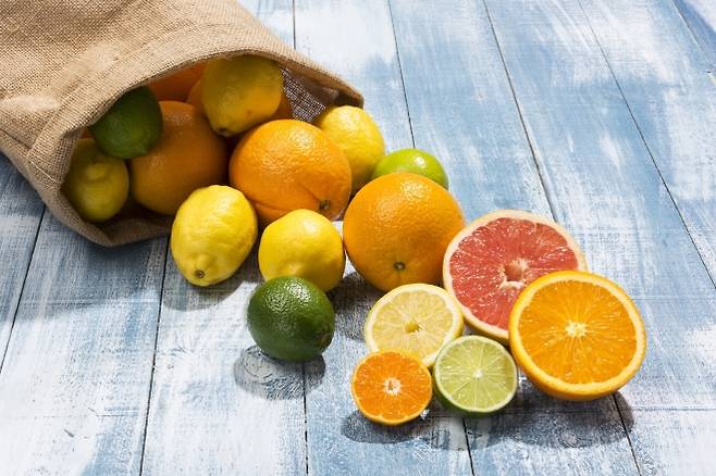 오렌지, 자몽, 레몬, 라임 등 감귤류(귤속) 과일. 아이클릭아트