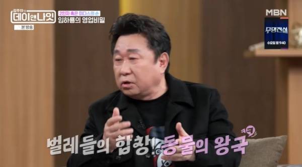 김주하의 데이앤나잇 / 사진=MBN 캡처