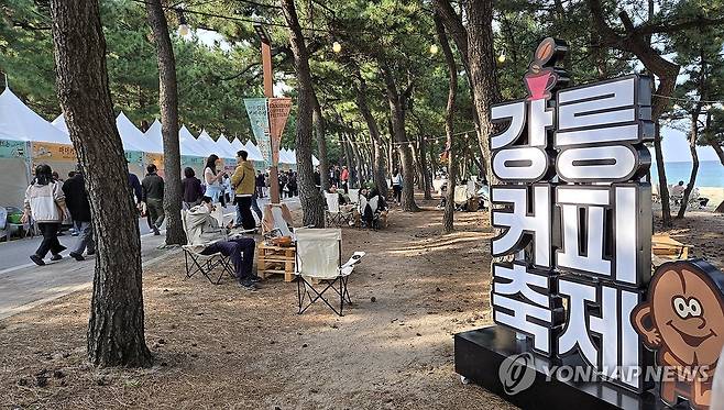 커피 향 가득한 강릉의 가을 [연합뉴스 자료사진]