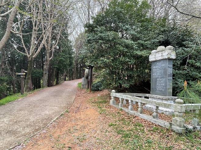 시에 등장하는 보성군 벌교읍 봄날의 '부용산 오리길'(2025년)