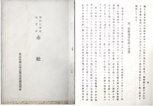 ◇931년 3월1일 작성된 도쿄제국대학 부속 조선강원도연습림의 보고서 원본. 왼쪽 사진은 표지. 오른쪽 사진은 벌목 내용 등을 서술한 내지.