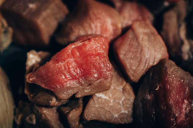 시가 독소 생성 대장균 감염은 주로 오염된 음식과 물 섭취를 통해 이뤄진다. 사진=게티이미지뱅크