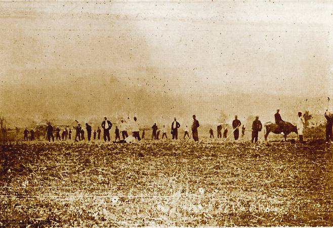 신흥무관학교 백서농장. 우당이회영선생교육문화재단 제공