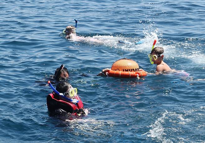 몰디브 바다에서 스노클링 등을 즐기는 여행객들. 박미향 기자