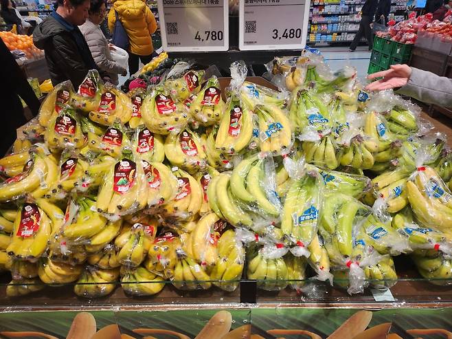1일 서울의 한 대형마트에 바나나가 진열 돼 있다. 김기환 기자