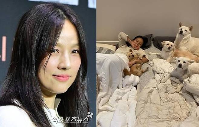 엑스포츠뉴스DB 이효리/이효리 계정 캡처