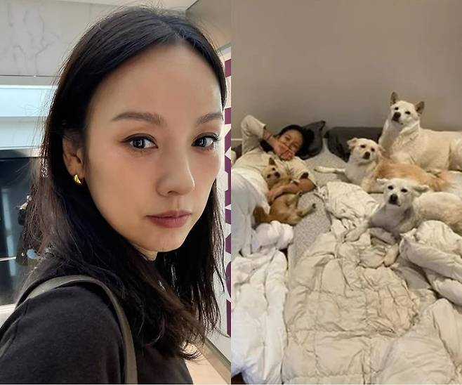 사진=이효리 SNS