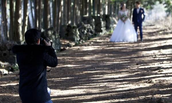 샤이니숲길은 삼다수 목장 근처에 있는 작은 숲길이다. 전해오는 이야기로, 빛이 아름다워 ‘샤이니숲길’이라 불린다. 짧은 숲길이지만 이곳에서만 볼 수 있는 아름다운 자연 풍광으로 많은 사람들이 찾는다. 날씨에 관계 없이 언제 찾아도 인생샷을 남길 수 있다. /제주관광공사 제공