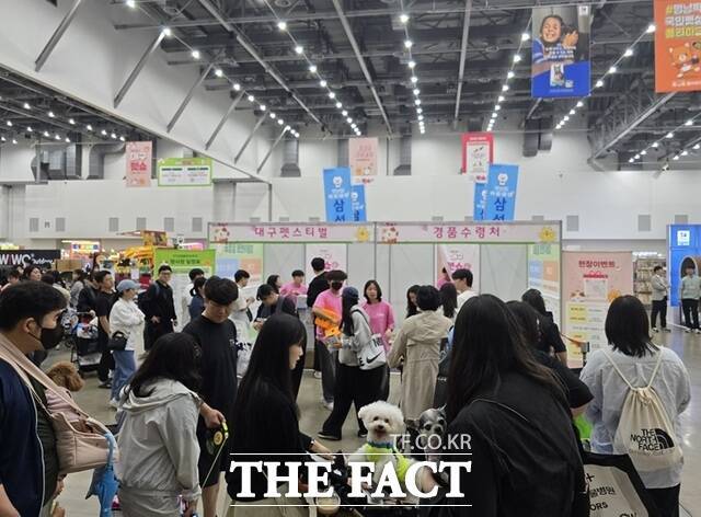 지난해 열린 '제22회 대구 펫쇼'에서 관람객들이 자신의 반려동물과 함께 행사장을 둘러보고 있다. /대구시