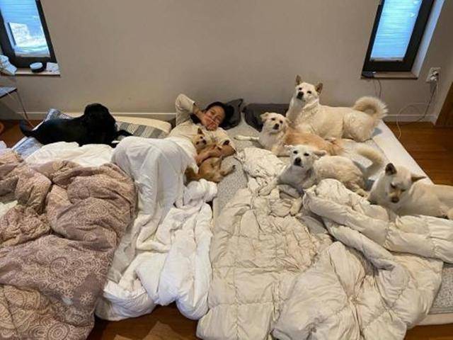 가수 이효리가 공개한 반려견과의 일상이 때 아닌 갑론을박으로 번졌다. 이효리 SNS