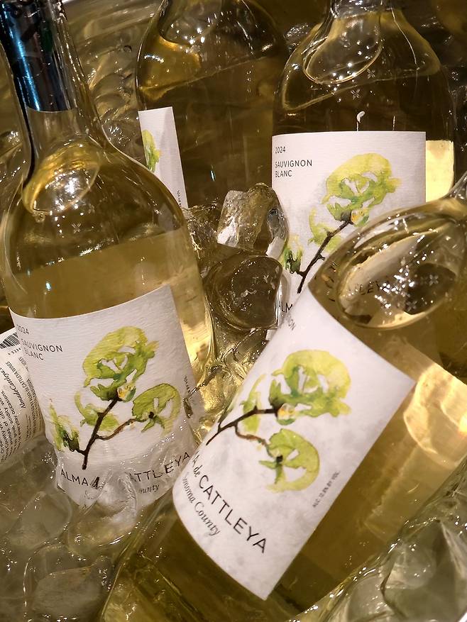 알마 드 카틀레야 소비뇽 블랑. 최현태 기자