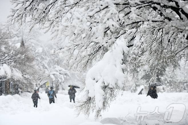 3일 폭설이 내린 강원 속초시 설악산 소공원에 멋진 설경이 연출되고 있다.(속초시 제공, 재판매 및 DB 금지) 2026.3.3