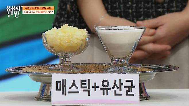 시크릿 솔루션 매스틱 + 유산균