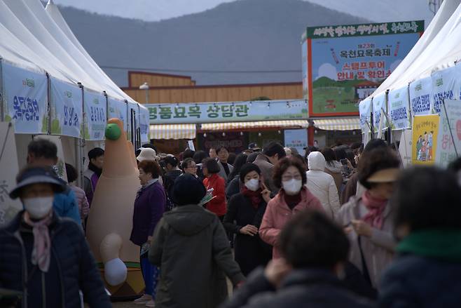 지난해 묘목축제모습. 옥천군제공
