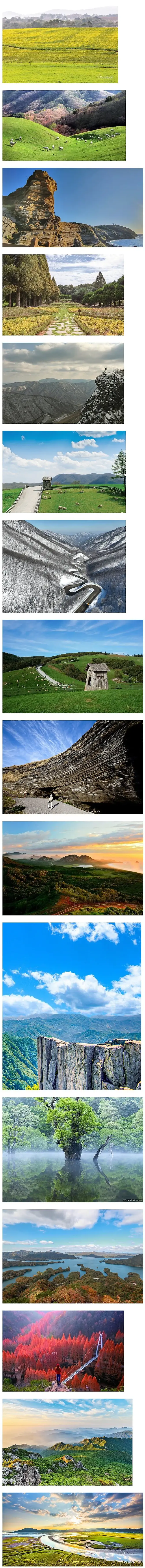 놀랍게도 여기가 외국 아니고 한국이라 함.jpg