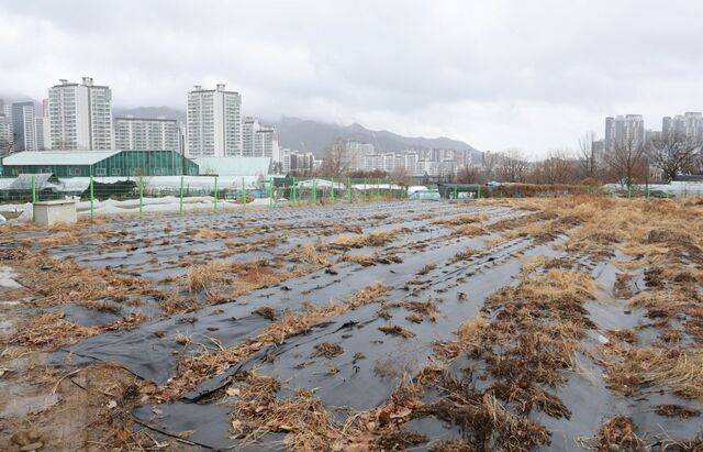 정부가 전국 농지 소유자를 대상으로 처음으로 전수조사를 벌이는 방안을 추진 중인 가운데 2일 수도권 내 한 농지 너머로 아파트 단지 등 재개발 구역이 들어서 있다. 연합뉴스