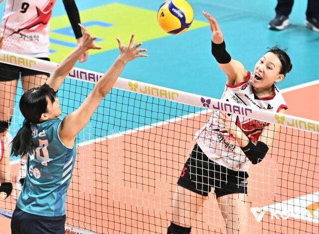 이선우의 공격./KOVO