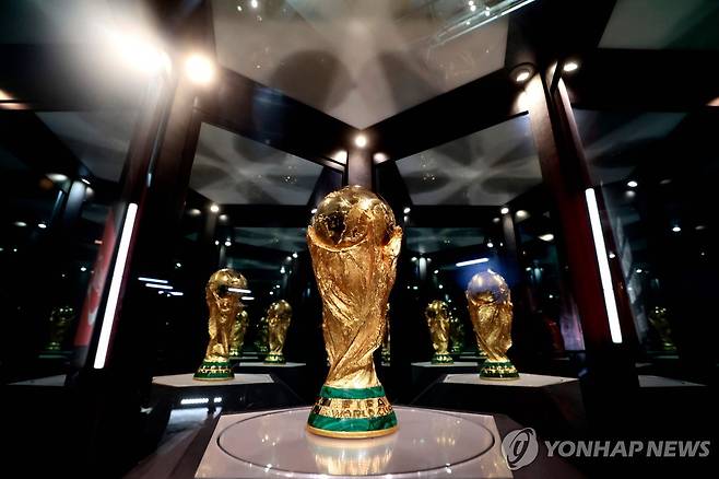 FIFA 월드컵 트로피 [AFP=연합뉴스]