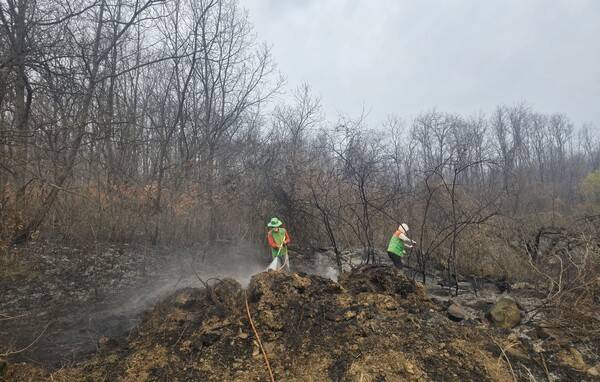 경북 의성군 산불 잔불제거 현장.