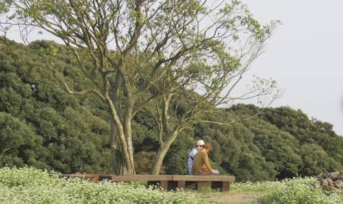 수려한 서중천 계곡을 품고 피어난 자연의 선물, 머체왓숲길. 드넓은 목장 초원을 따라 숲에 들어서면 눈앞으로 펼쳐지는 웅장한 원시림. 그 속에서 느껴지는 자연의 기운은 이곳을 찾는 모든 이들에게 치유를 선사한다.
